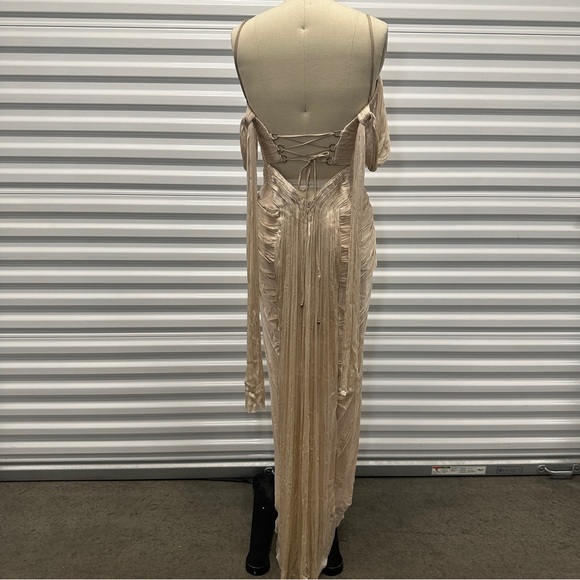 Maria Lucia Hohan Camilla Metallic Silk Bustier Gown $3,730 - Picture 9 of 10